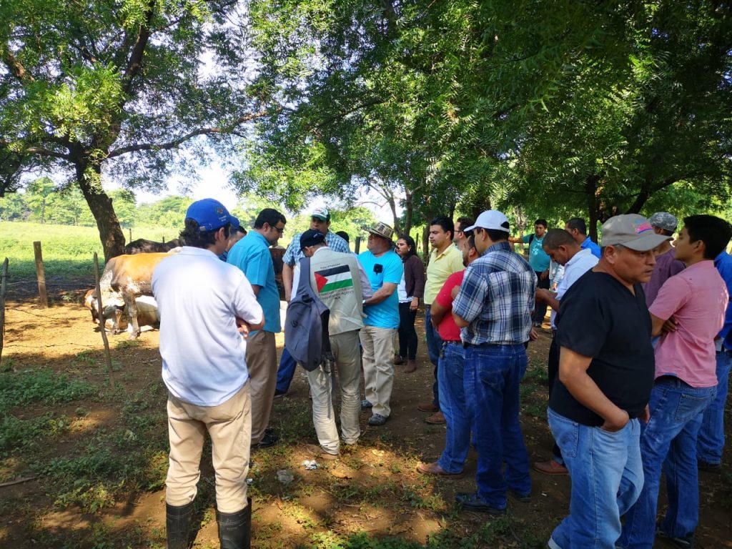 2020 – PICA Agricultural Program in Nicaragua